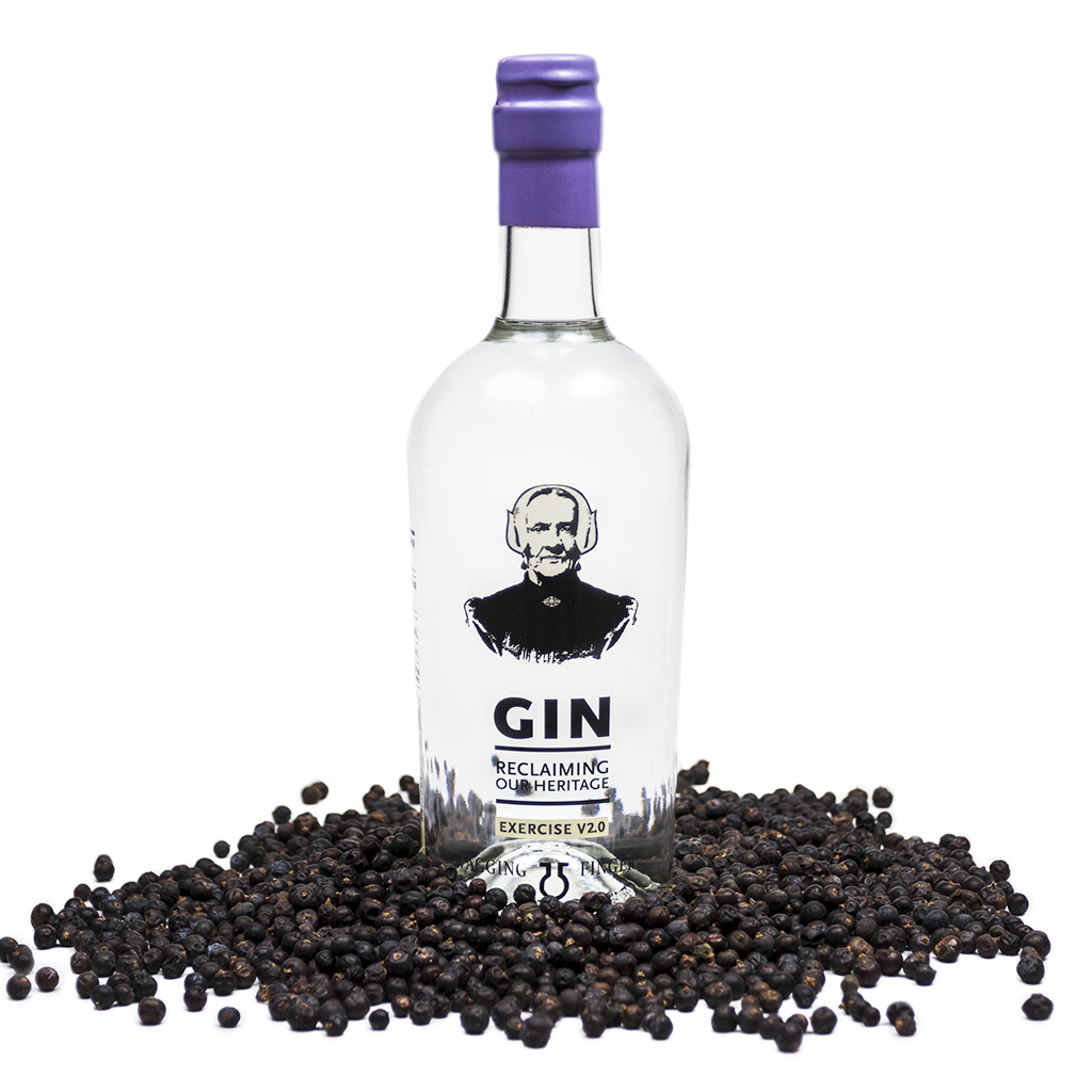 Gin Exercise V2.0