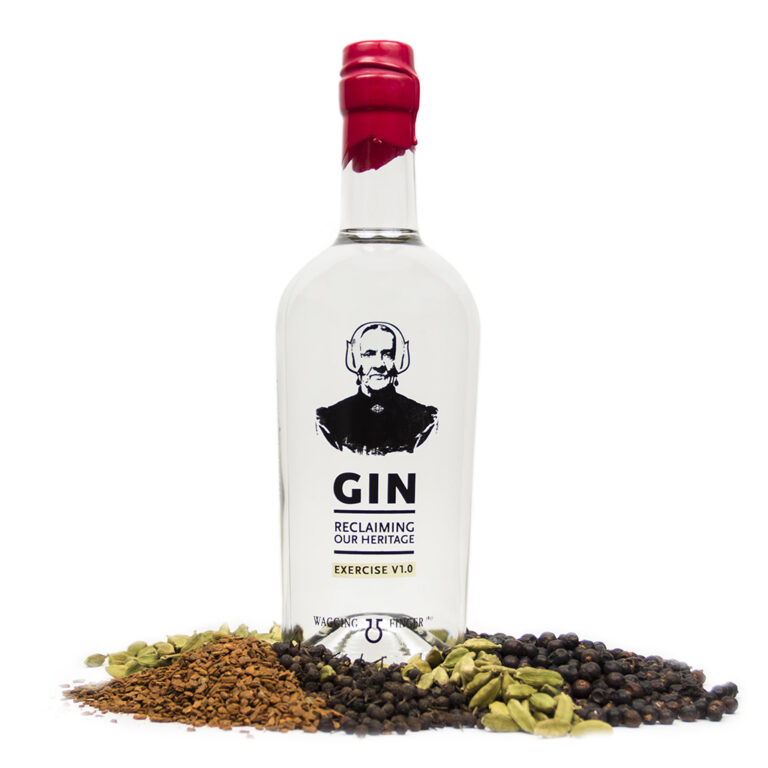 Gin Exercise v1.0